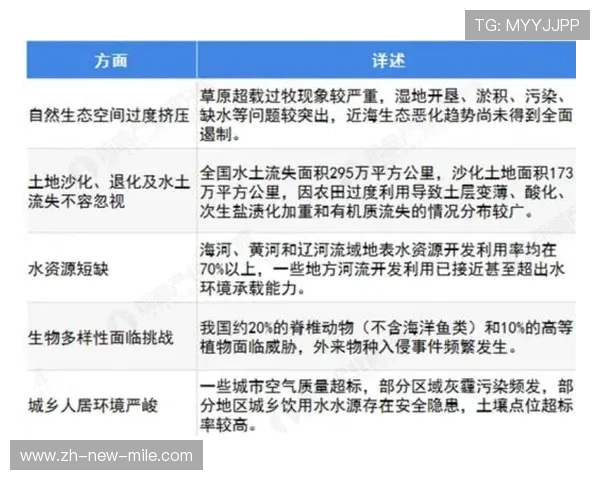 武汉乒乓球队运营分析：成功经验与面临挑战的深度探讨