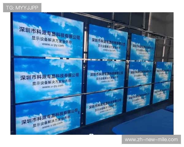 深圳排球队反击革新之路：重塑团队精神与竞技实力的全新探索